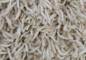 cut pile carpet