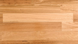 Blackbutt timber floorboards