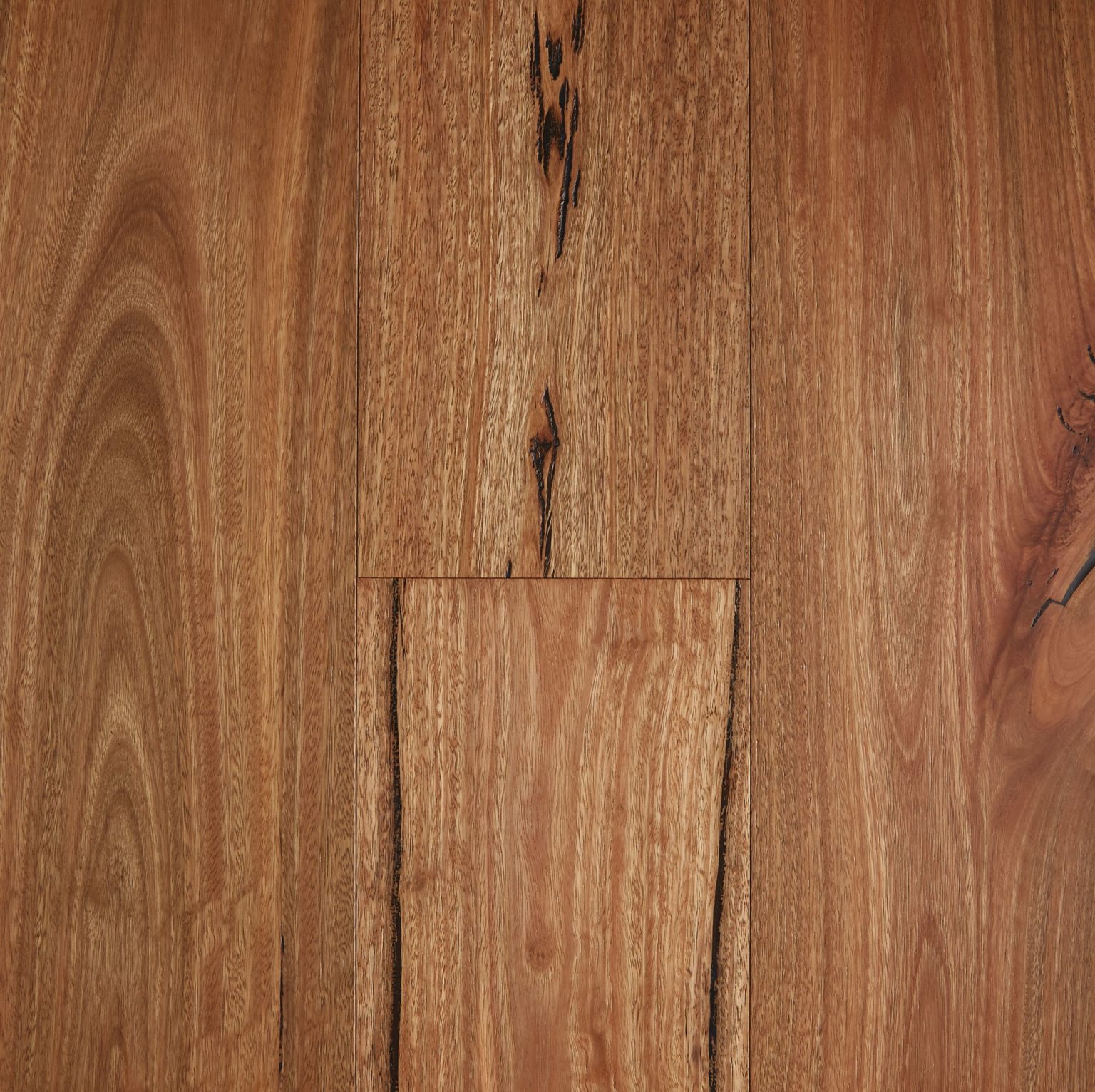 Rustic Spotted Gum Brushed Matt - Single Strip Select Engineered Timber