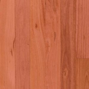 Blue Gum Solid Timber