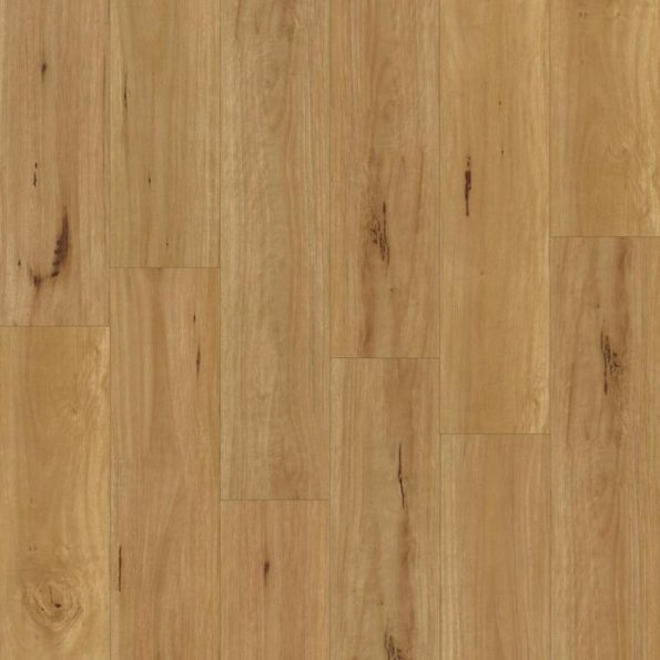Raw Blackbutt Marvel SPC Hybrid Flooring FloorVenue