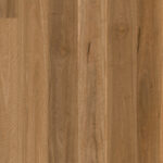 Spotted Gum 1 Strip