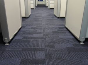 Carpet in hallway of an office building
