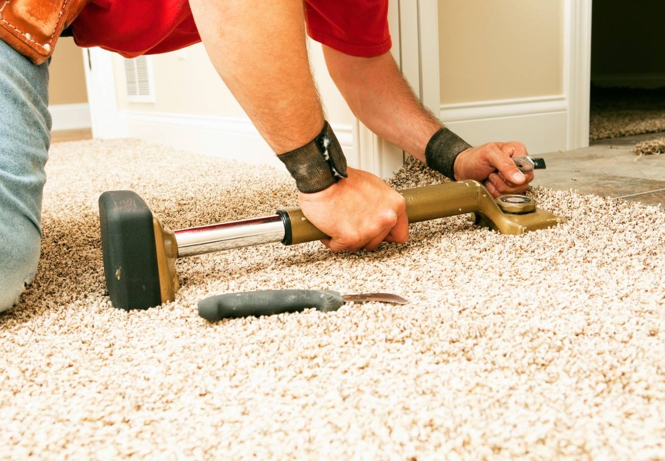 Ultimate Guide To Triexta Carpet Sydney 2023