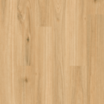 Blackbutt