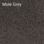 Mole Grey
