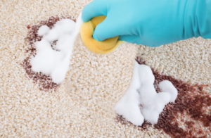 Cleaning polypropylene carpet with sponge.