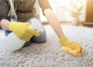 cleaning carpet with a sponge