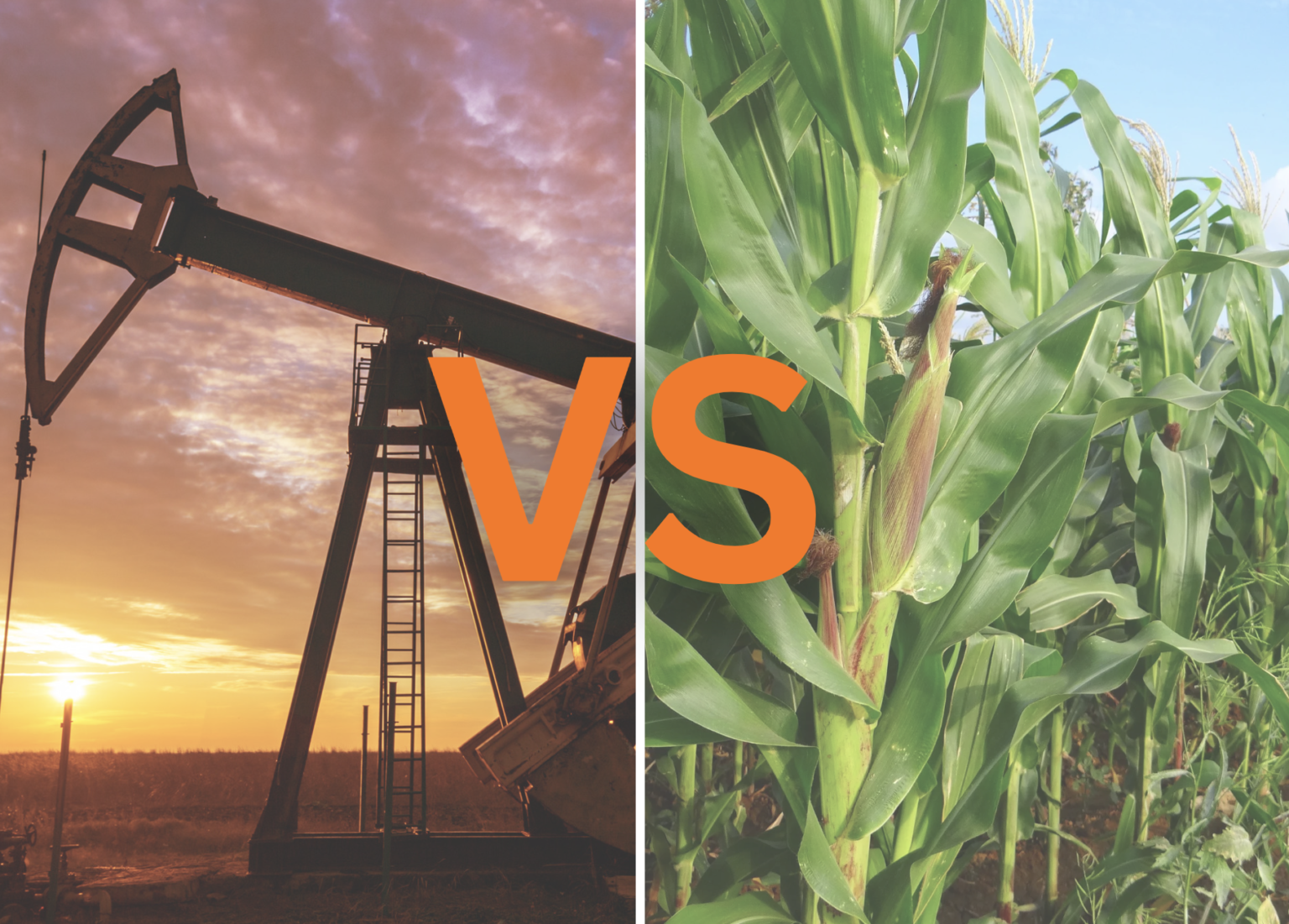 Triexta Carpet vs Nylon Carpet Comparison [2023] FloorVenue