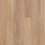 Pale Spotted Gum