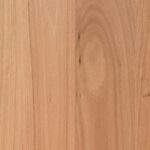 Coastal Blackbutt