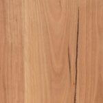 Coastal Blackbutt