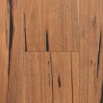 Spotted Gum