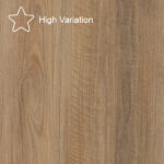 Coastal Spotted Gum